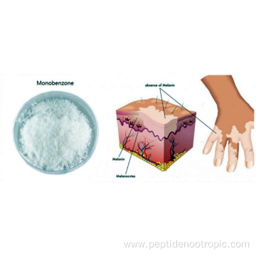 supply high quality pure monobenzone Powder